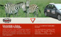 Zebra Autósiskola